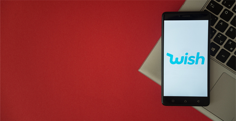 Temu Customer Development